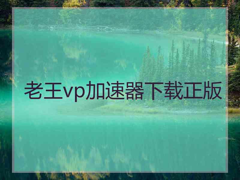 老王vp加速器下载正版