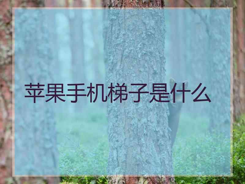 苹果手机梯子是什么