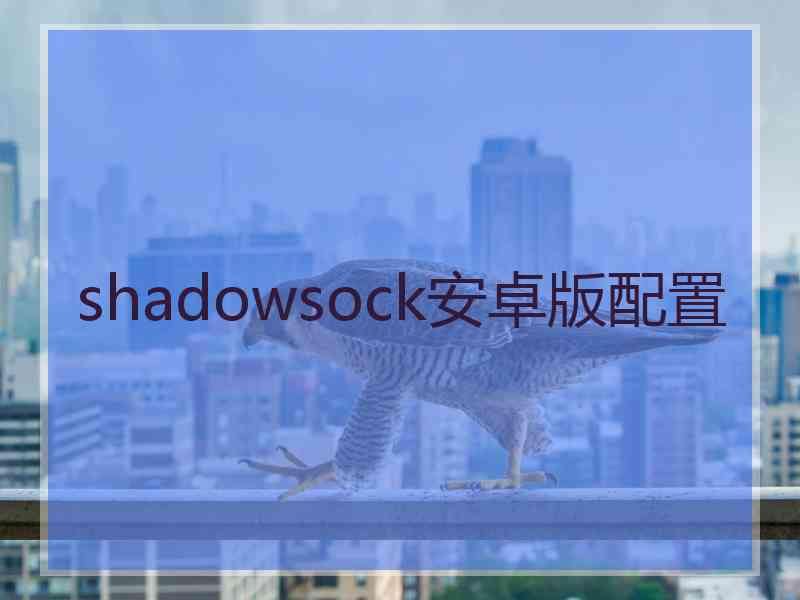 shadowsock安卓版配置