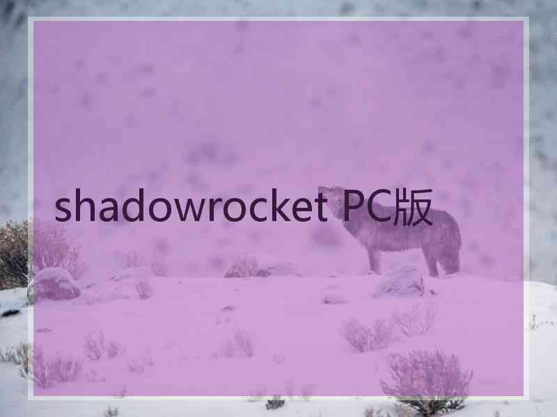 shadowrocket PC版