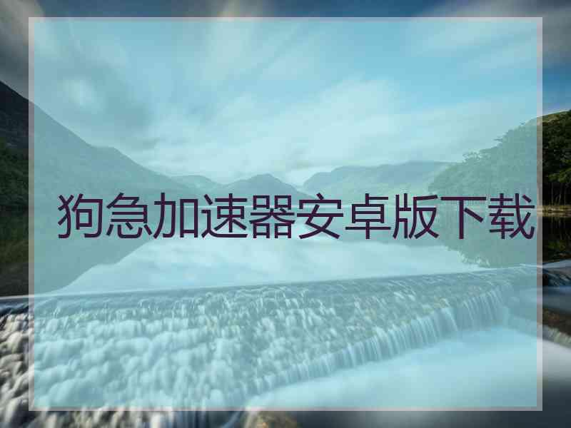 狗急加速器安卓版下载