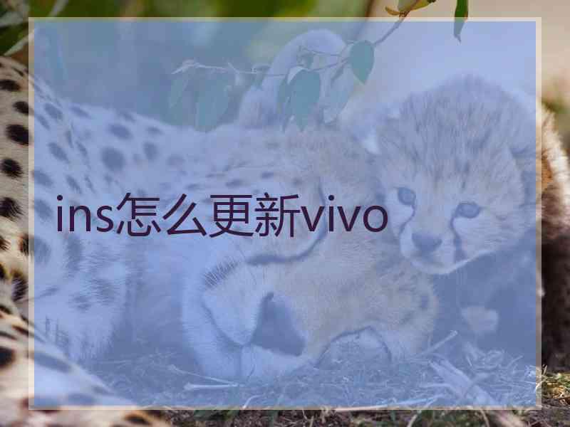 ins怎么更新vivo