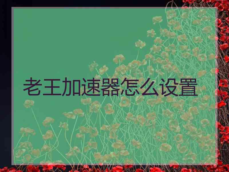 老王加速器怎么设置