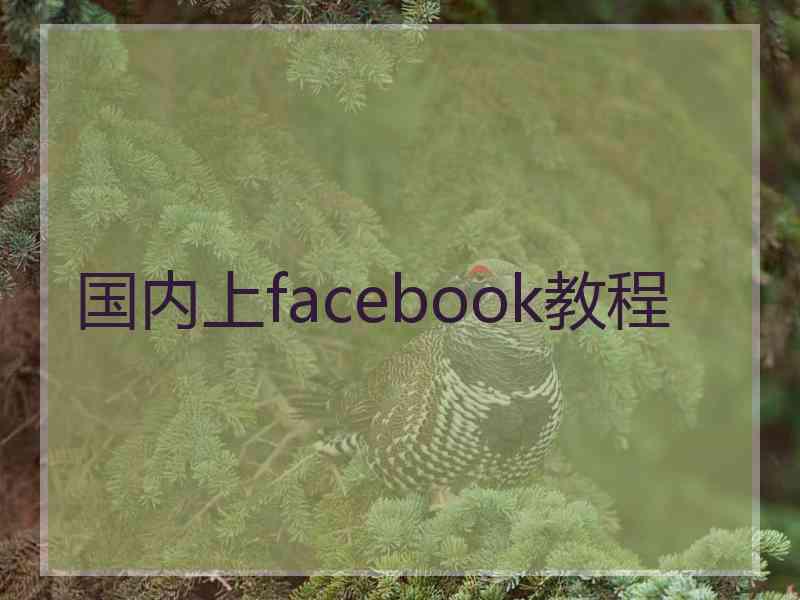 国内上facebook教程