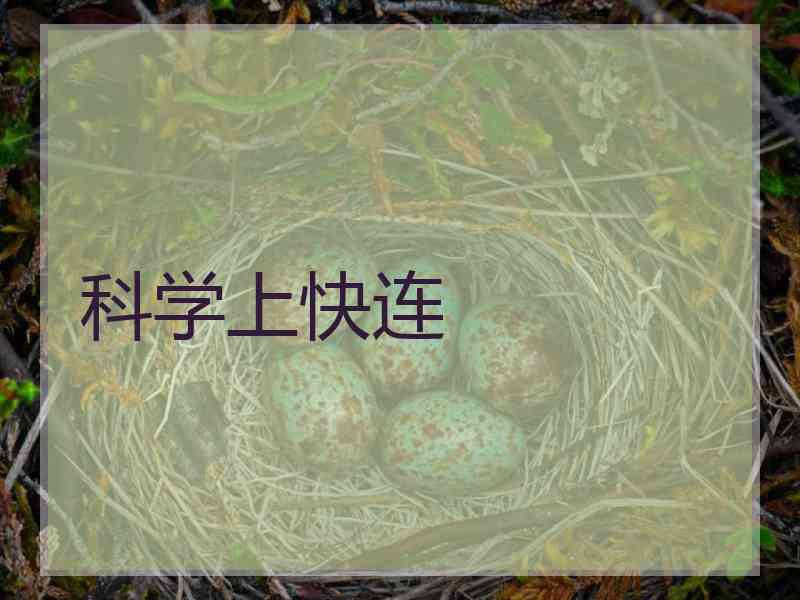 科学上快连