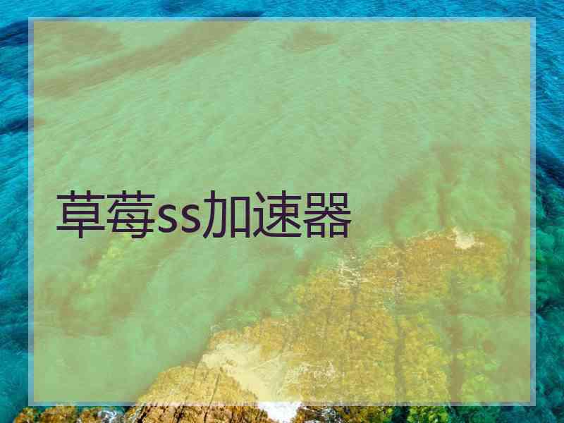 草莓ss加速器