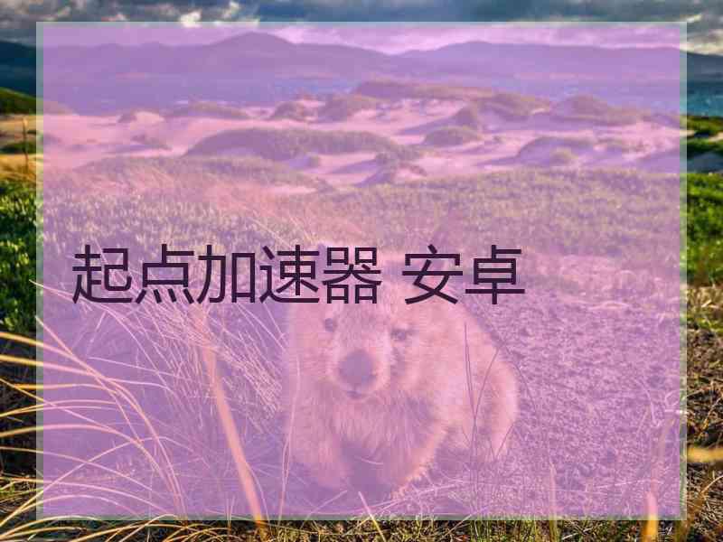 起点加速器 安卓