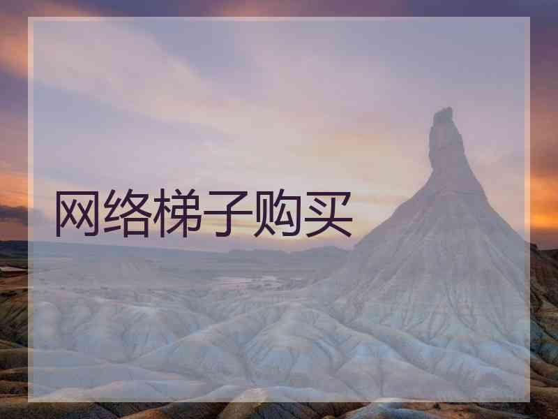 网络梯子购买