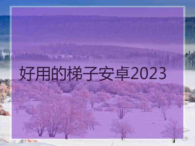 好用的梯子安卓2023