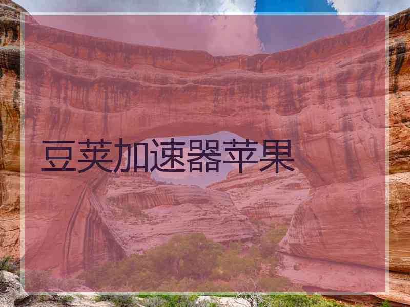 豆荚加速器苹果