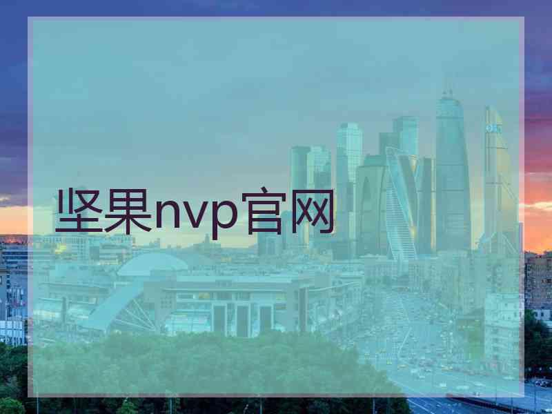 坚果nvp官网