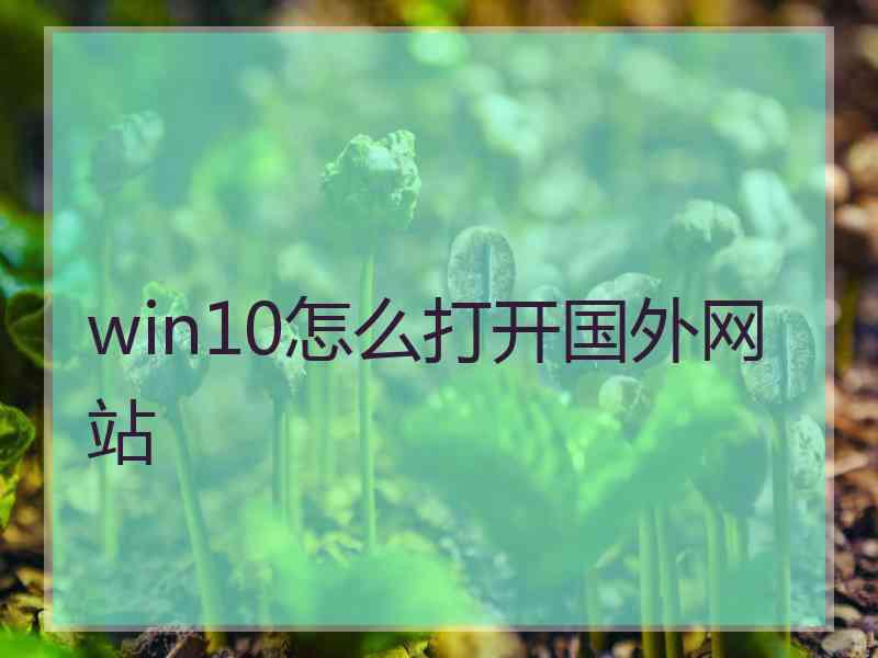 win10怎么打开国外网站