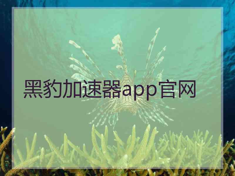 黑豹加速器app官网