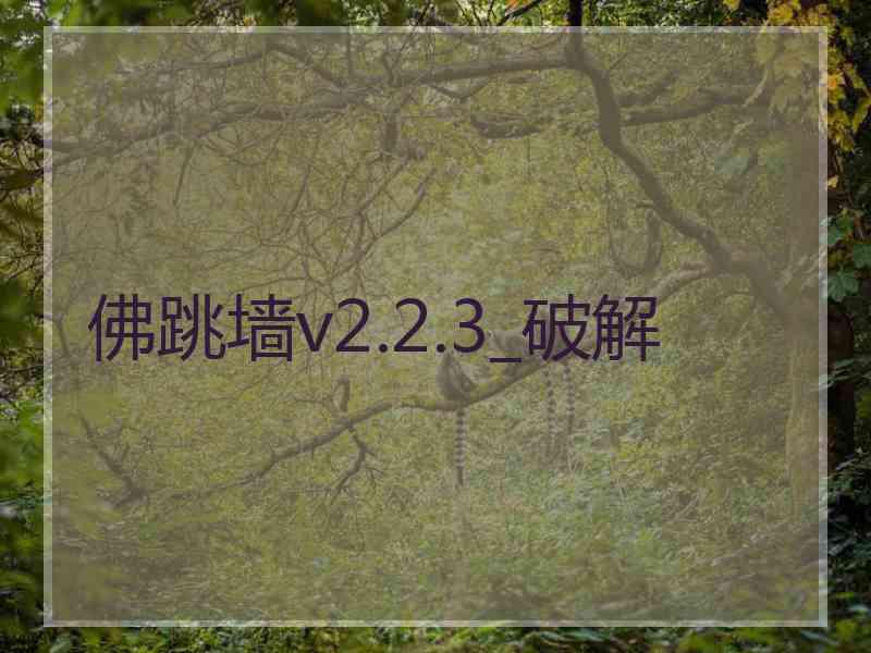 佛跳墙v2.2.3_破解