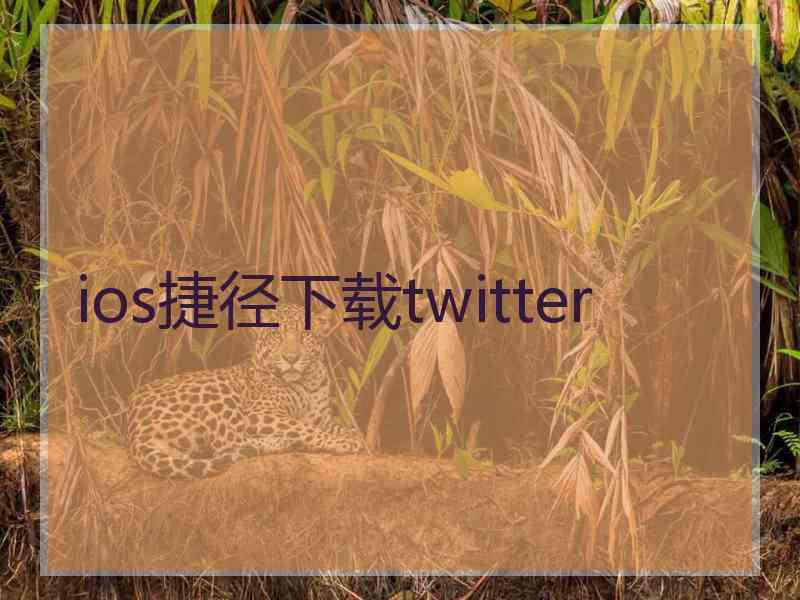 ios捷径下载twitter