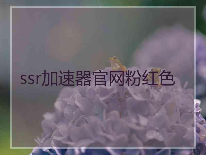 ssr加速器官网粉红色