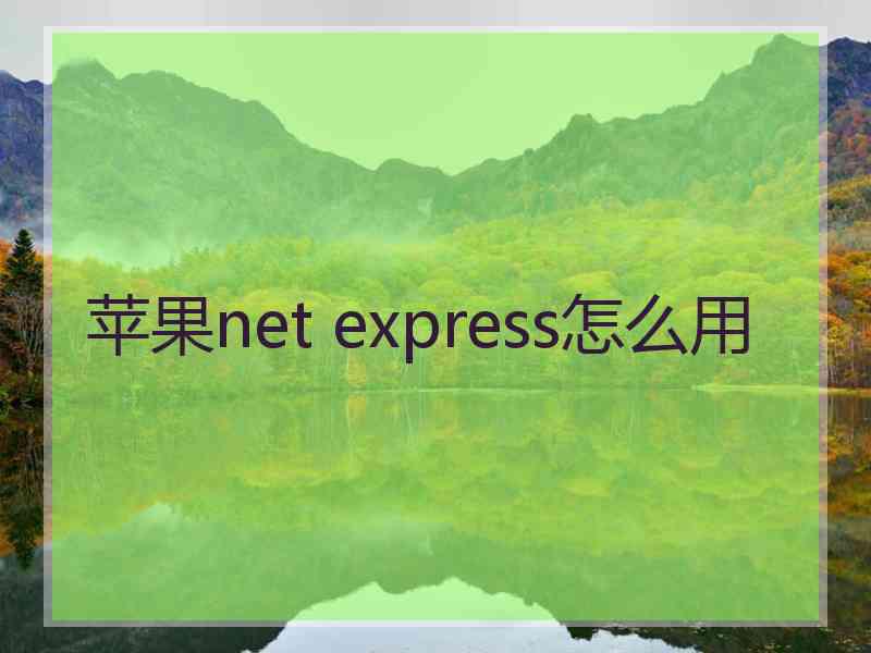 苹果net express怎么用