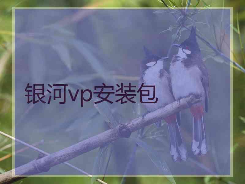 银河vp安装包