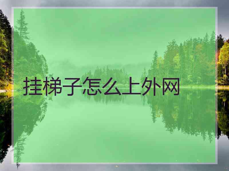 挂梯子怎么上外网