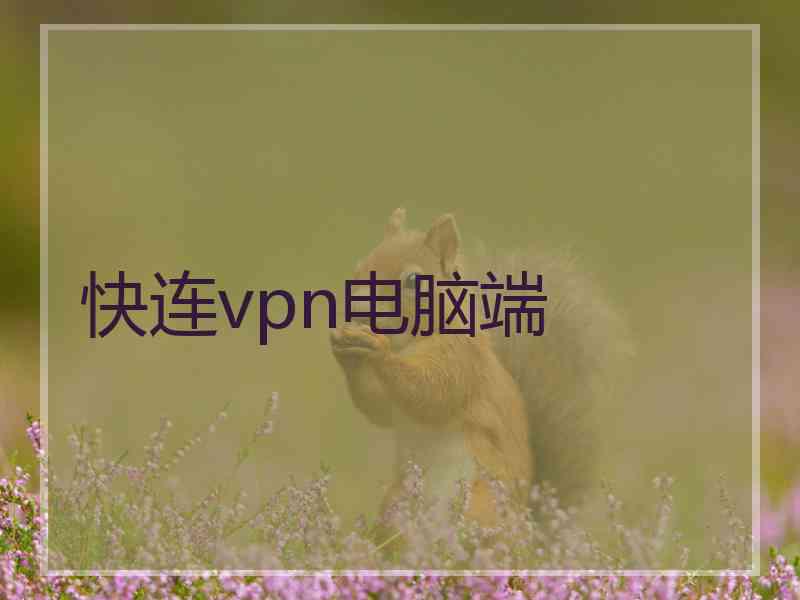 快连vpn电脑端