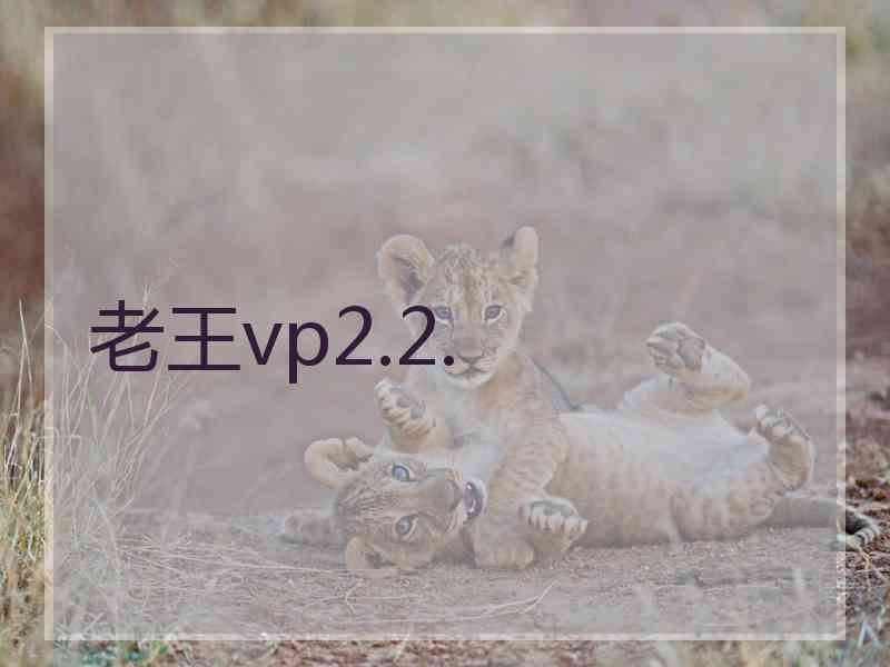 老王vp2.2.