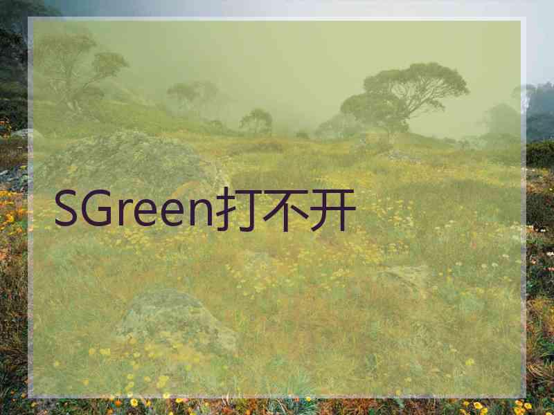 SGreen打不开