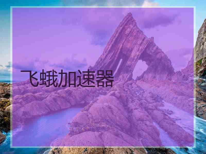 飞蛾加速器