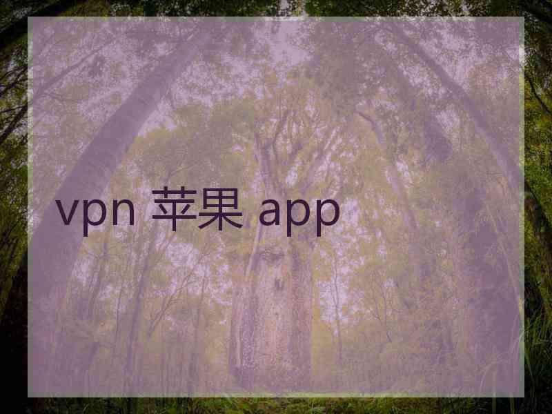 vpn 苹果 app