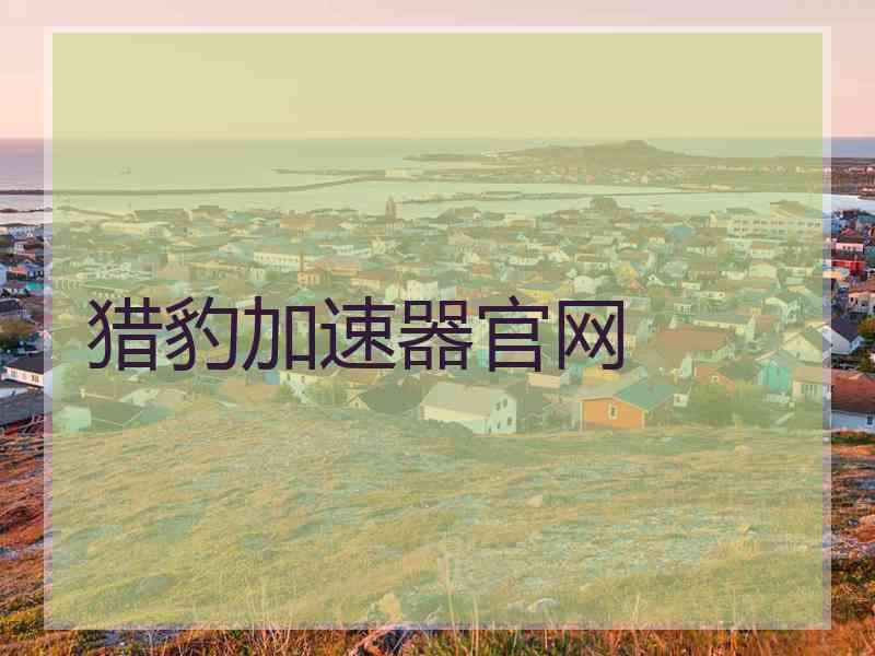 猎豹加速器官网