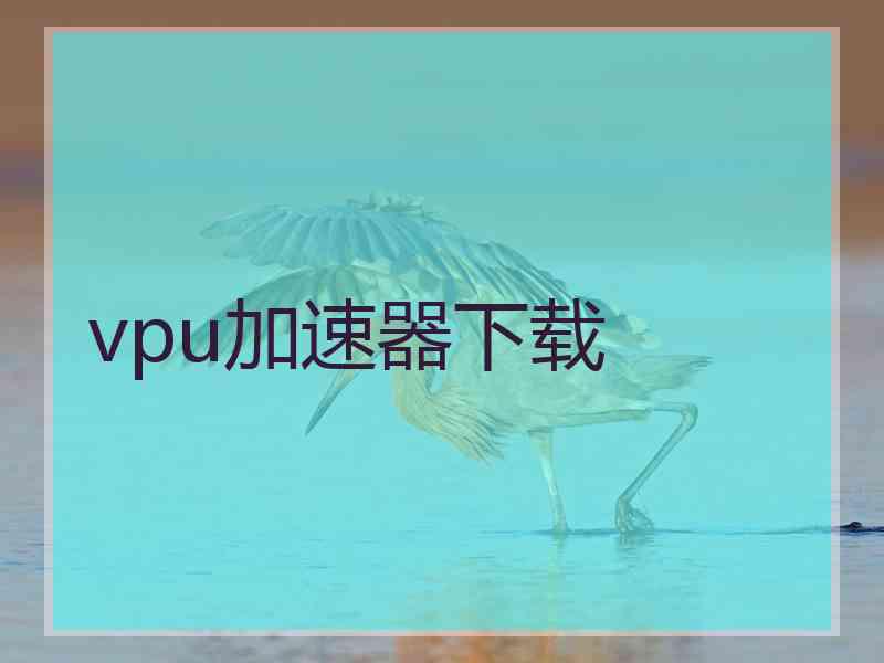 vpu加速器下载