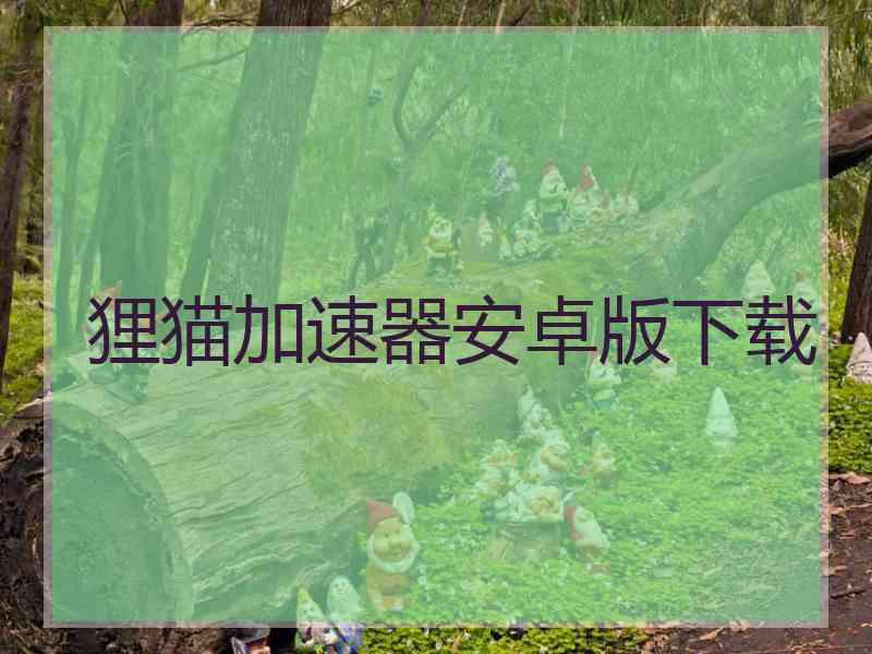 狸猫加速器安卓版下载