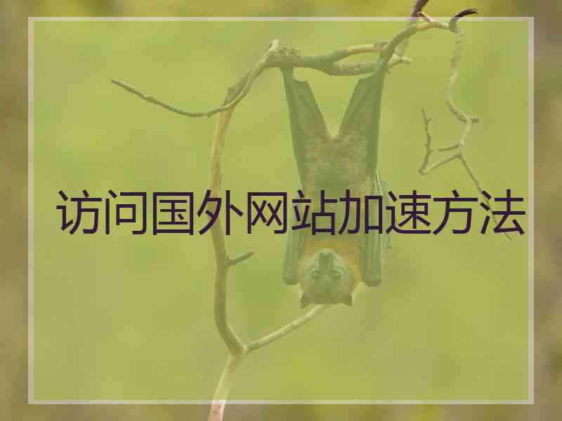 访问国外网站加速方法