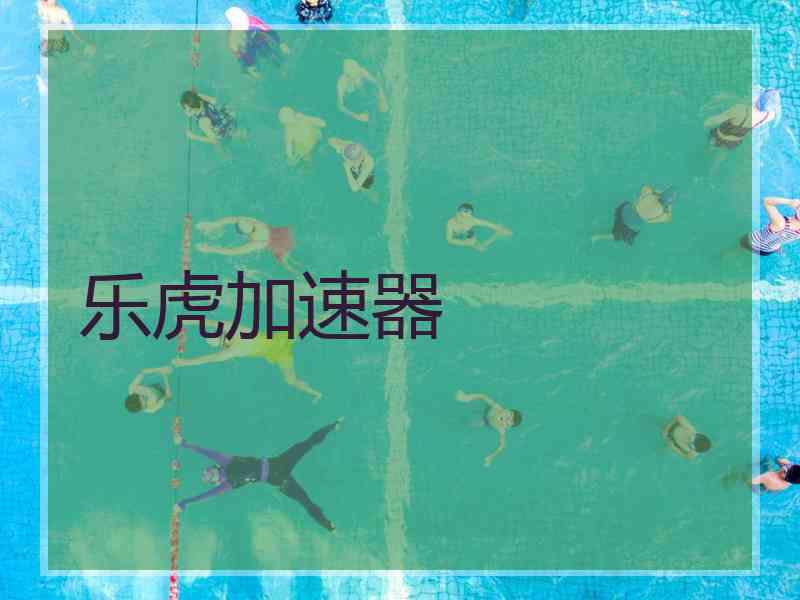 乐虎加速器
