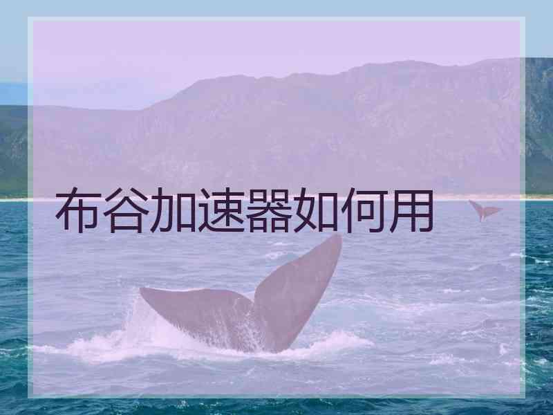 布谷加速器如何用