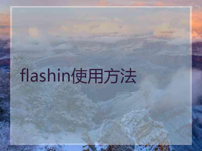 flashin使用方法