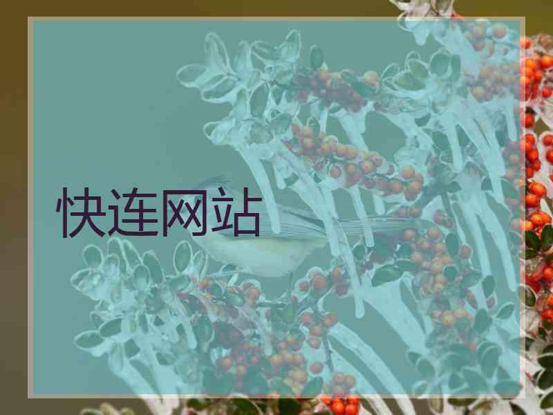 快连网站