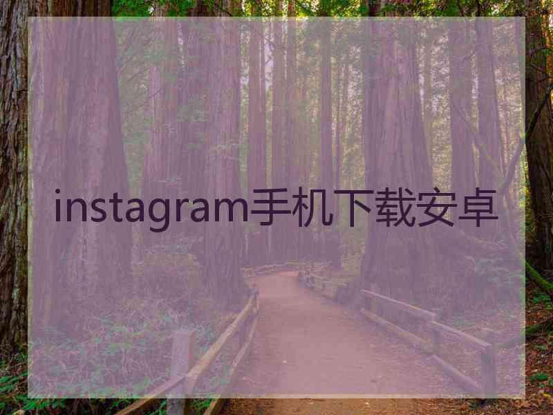 instagram手机下载安卓