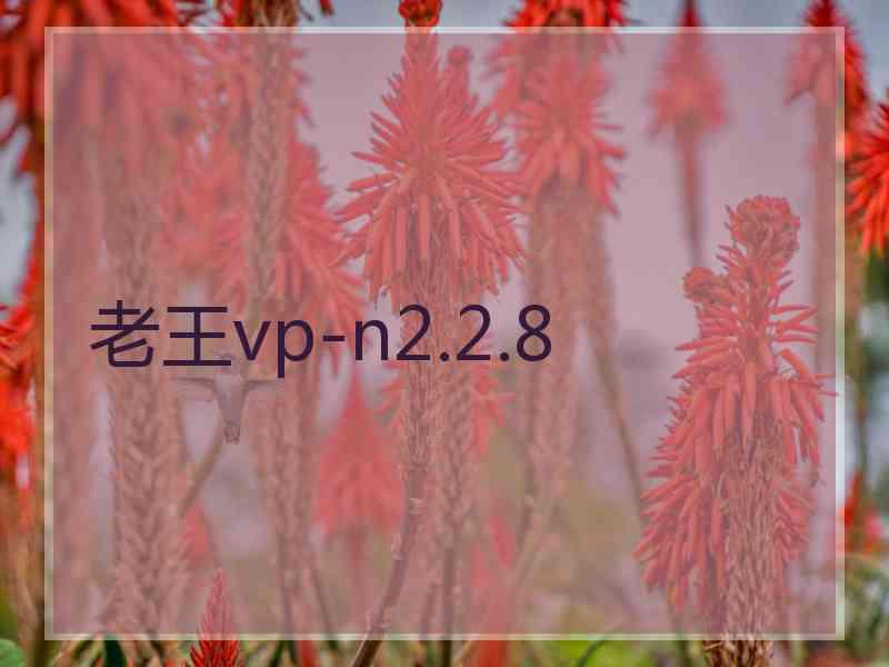 老王vp-n2.2.8