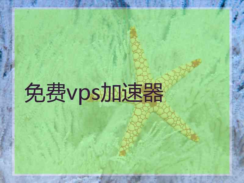 免费vps加速器