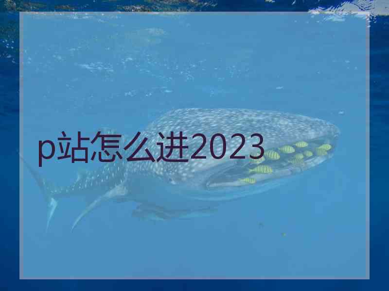 p站怎么进2023