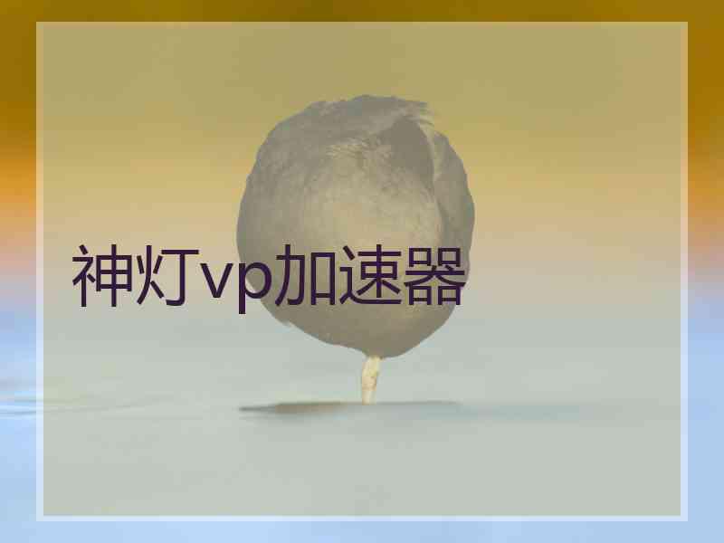 神灯vp加速器