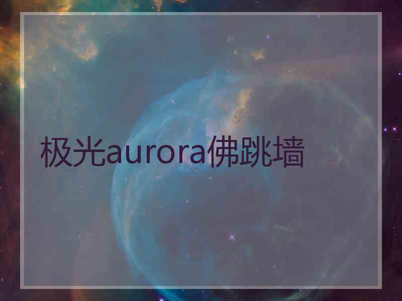 极光aurora佛跳墙