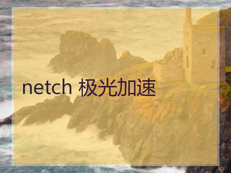 netch 极光加速