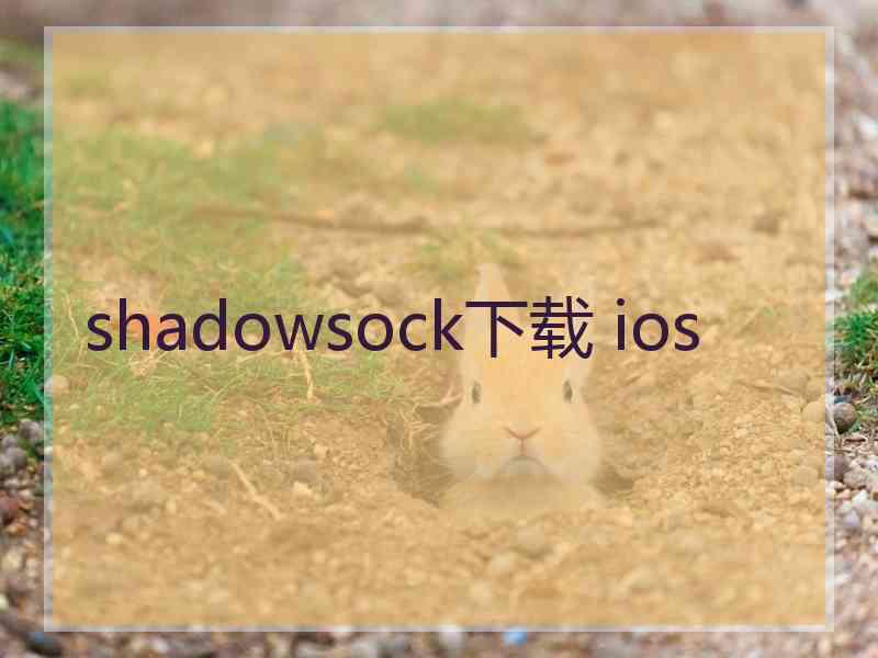 shadowsock下载 ios