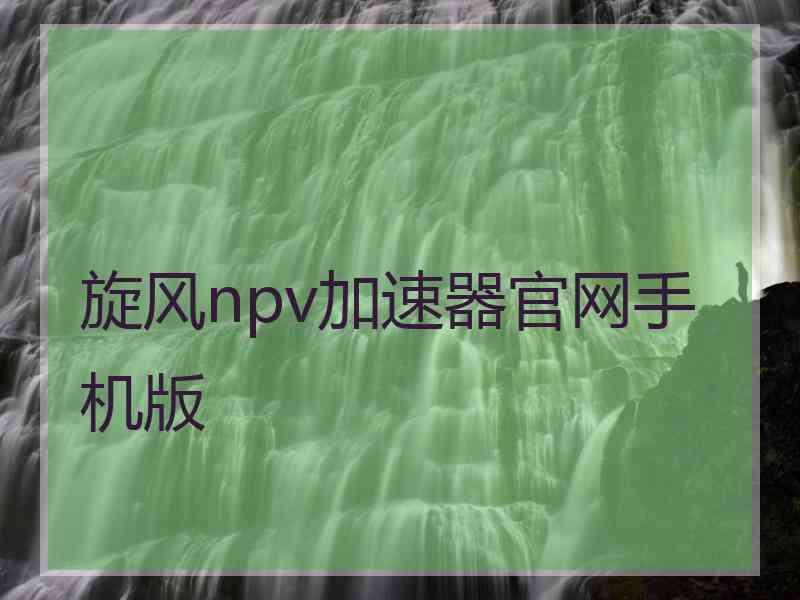 旋风npv加速器官网手机版