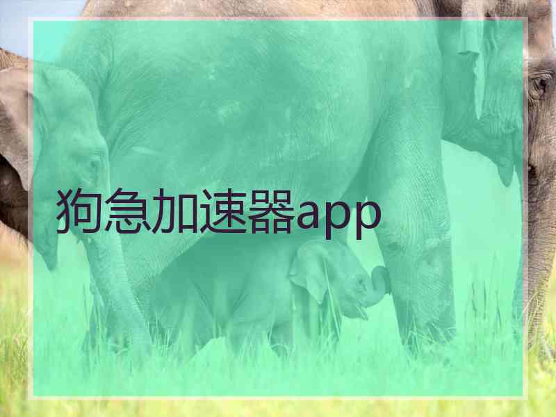 狗急加速器app