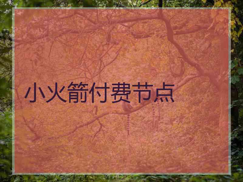 小火箭付费节点