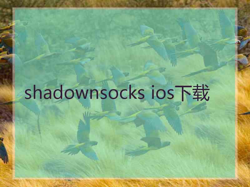 shadownsocks ios下载