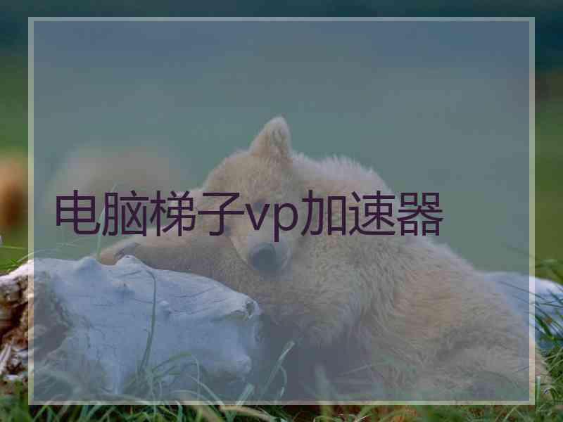 电脑梯子vp加速器