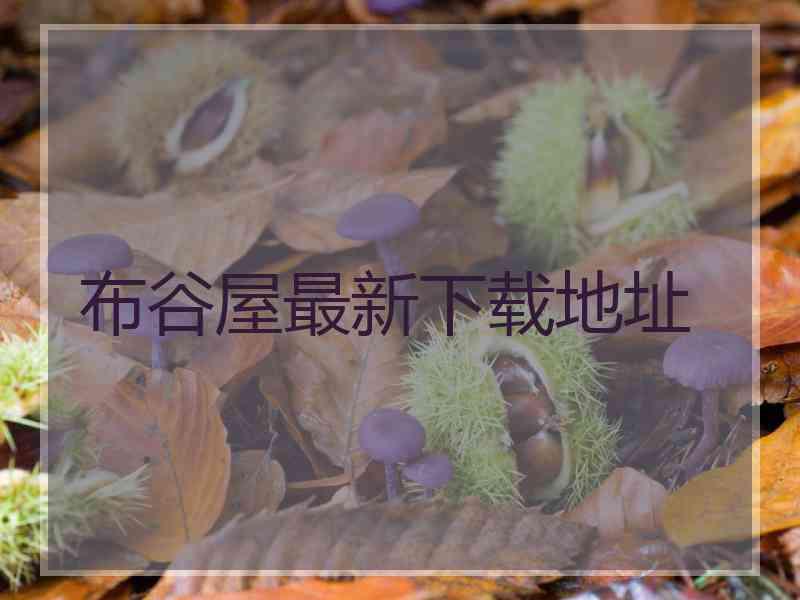 布谷屋最新下载地址